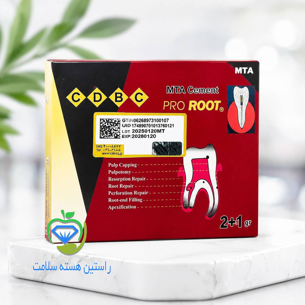 پودر ام تی اس سینا